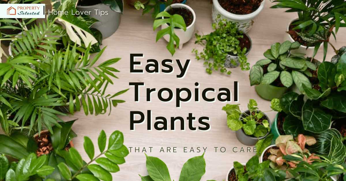 Easy Tropical Plants